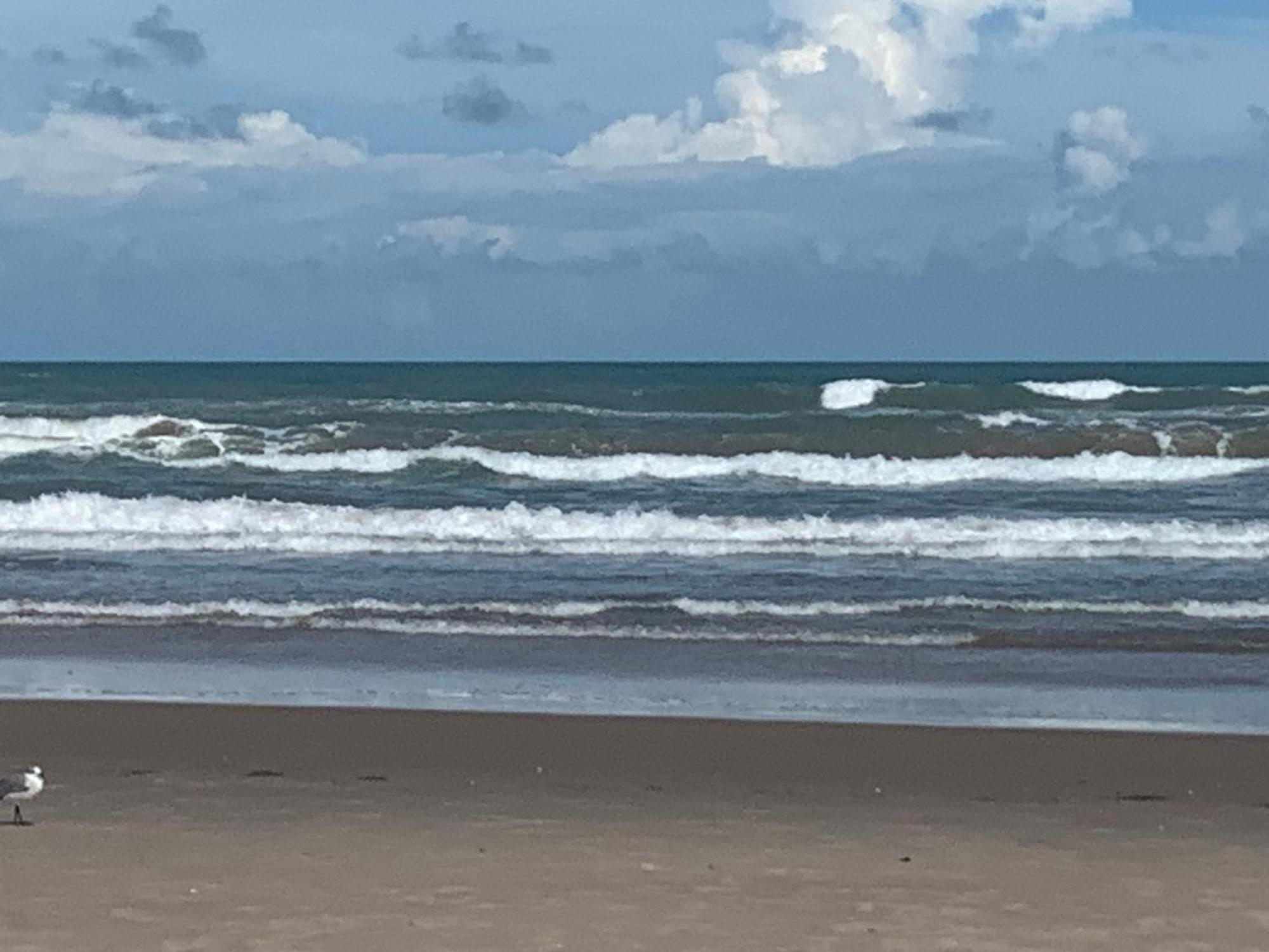Jjs Beach Condo South Padre Island Exterior foto